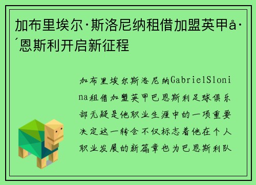 加布里埃尔·斯洛尼纳租借加盟英甲巴恩斯利开启新征程